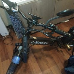 Like E Bike