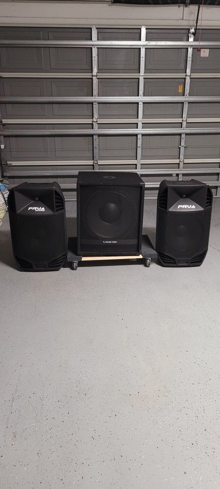 DJ Subwoofer 