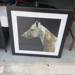 Horse Photo