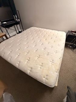 Free king mattress
