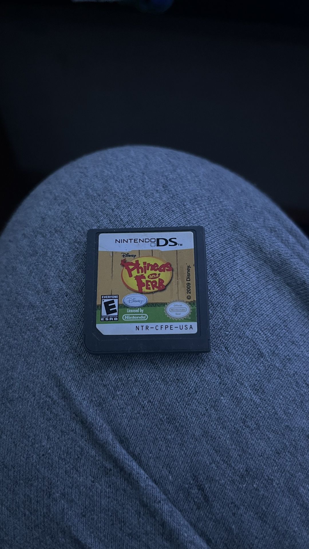 Nintendo DS Game Phineas And Ferb