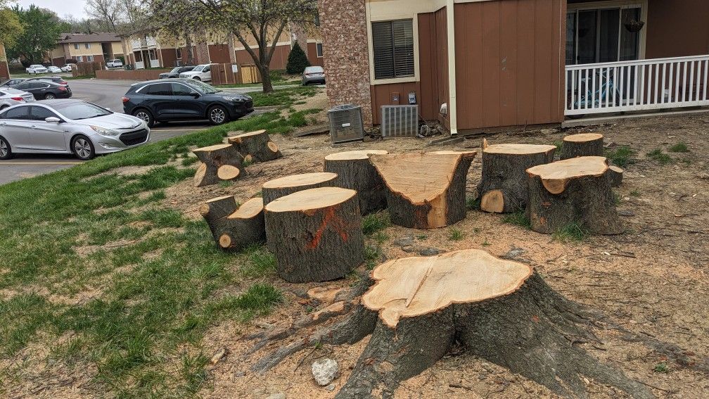 Free Logs/Wood Oak