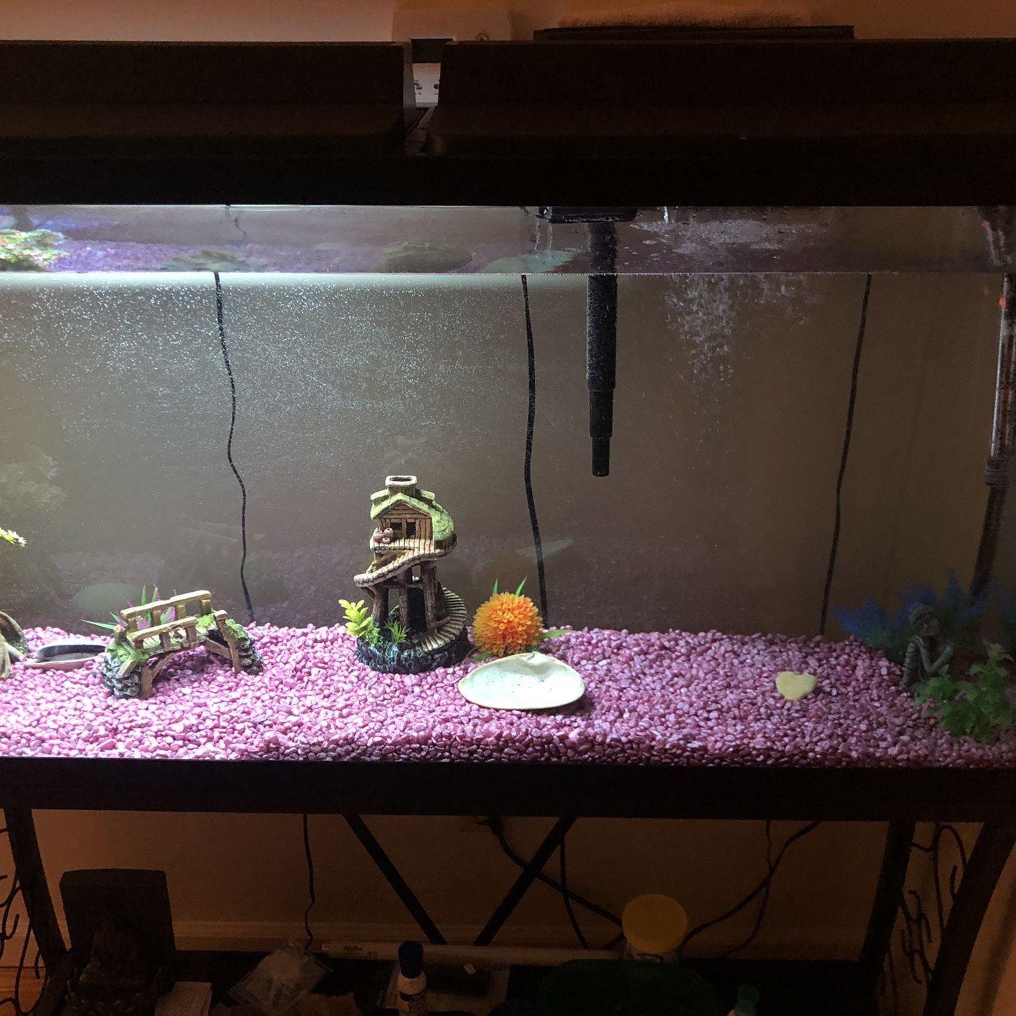 55 Gallon Fish Tank Comes With Everything You See