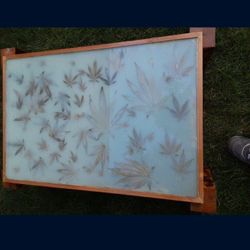 Pot Leaf Joint Table 