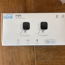 Blink mini Indoor cameras
