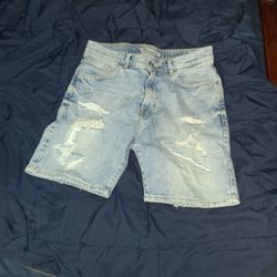 Zara Ripped Shorts