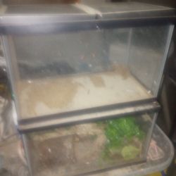 Fish Tank And Two Terrariums