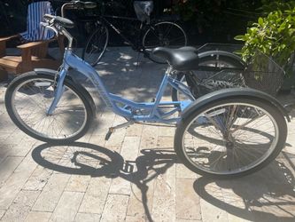 Schwinn adult tricycle