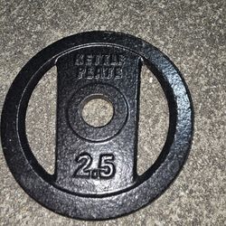 Single 2.5 pound Kettle Plate 1 inch hole