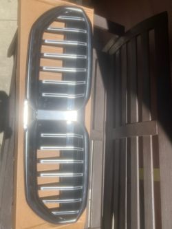 BMW grille