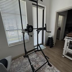 Sportsroyals Pull Up Bar / Dip Station / Power Tower
