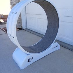 Cat Treadmill