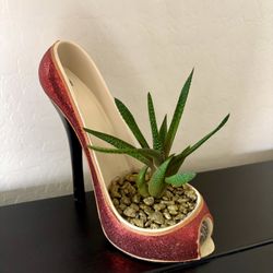 Plant Lovers Valentine’s Present 