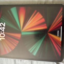 iPad Pro 12.9 w/ Cellular