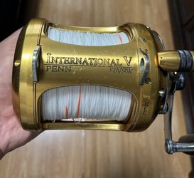 Penn International 50 VSW 2 Speed
