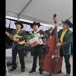 Acordeon Tololoche Y Guitarra  Hacen Grupo Norteño