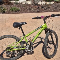 Nishiki Youth Mountain Bike - Lime Green
