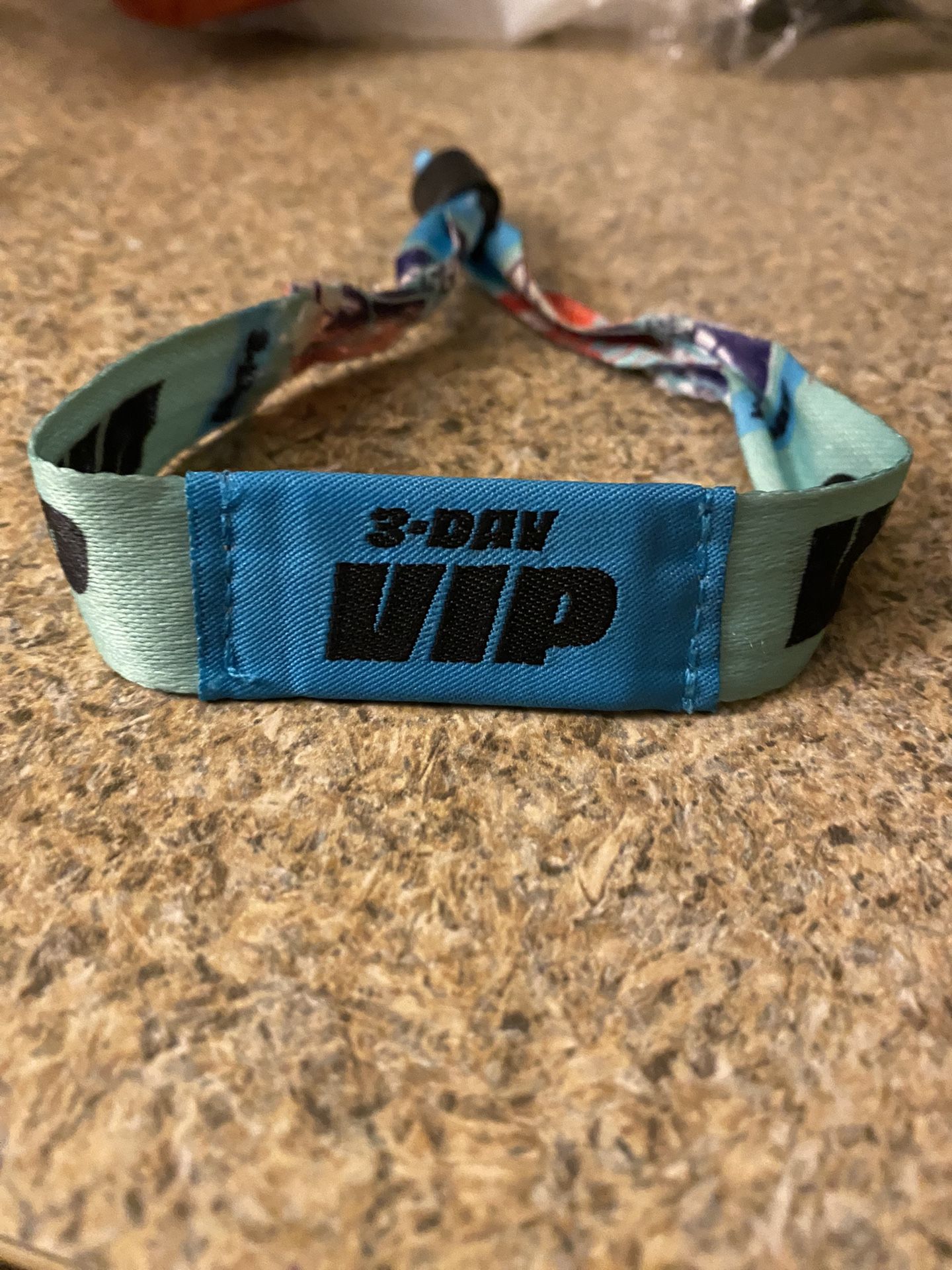 Governors Ball 2024 Sunday VIP
