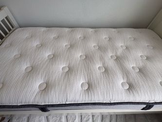 Beautyrest BR800 Twin Mattress