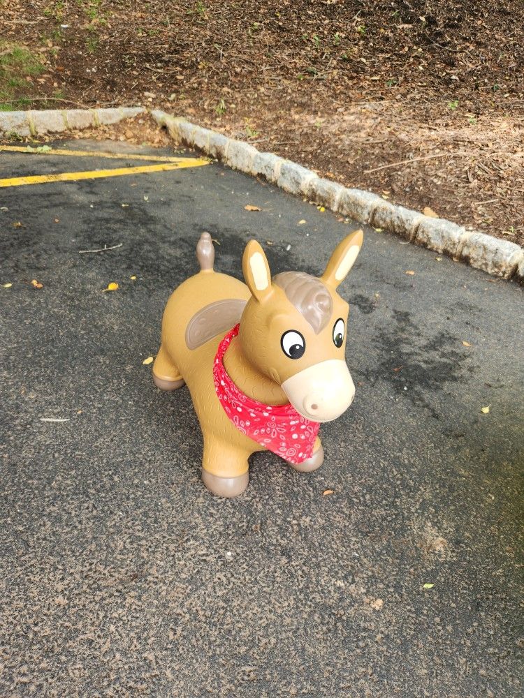 Inflatable Bouncy Donkey Ride-On Toy – Pickup Only