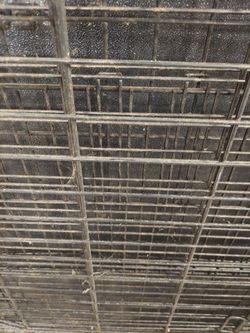 Pet cage xl with rust