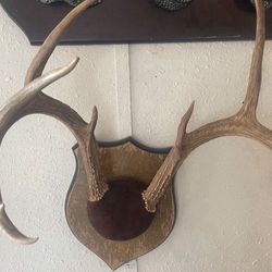 Wall Decor Antler Rack On Plaque 
