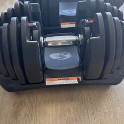 Adjustable Dumbbells 