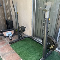 Adjustable Gold’s Gym Bench Rack *DOES NOT COME WITH WEIGHT PLATES*