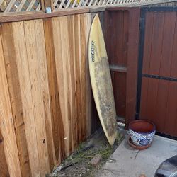 Webber Surfboard