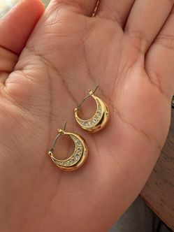 Fossil earrings