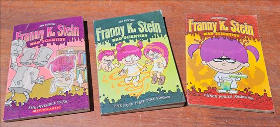 Franny K Stein Books - $5.00/all