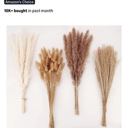 Dried Pampas grass Decor 100 Pieces