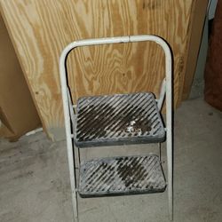 2 step ladder $25