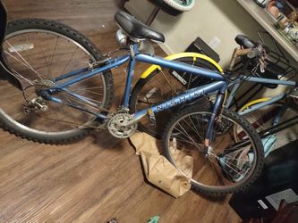 Vintage Nishiki Pueblo Bike 