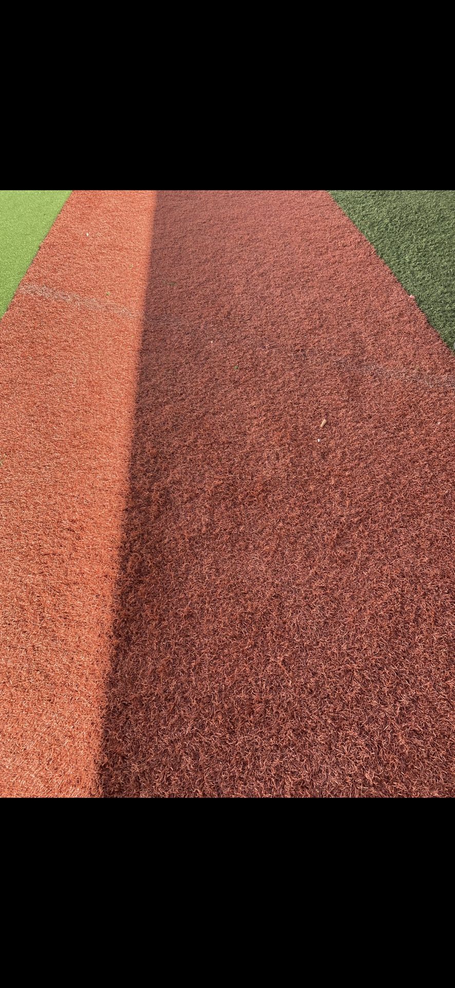 Small Yard Turf