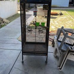Parrot 🦜 Cage 