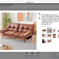 Futon Couch