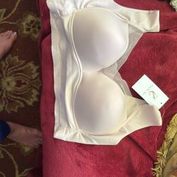 Zen chic Bras-2 