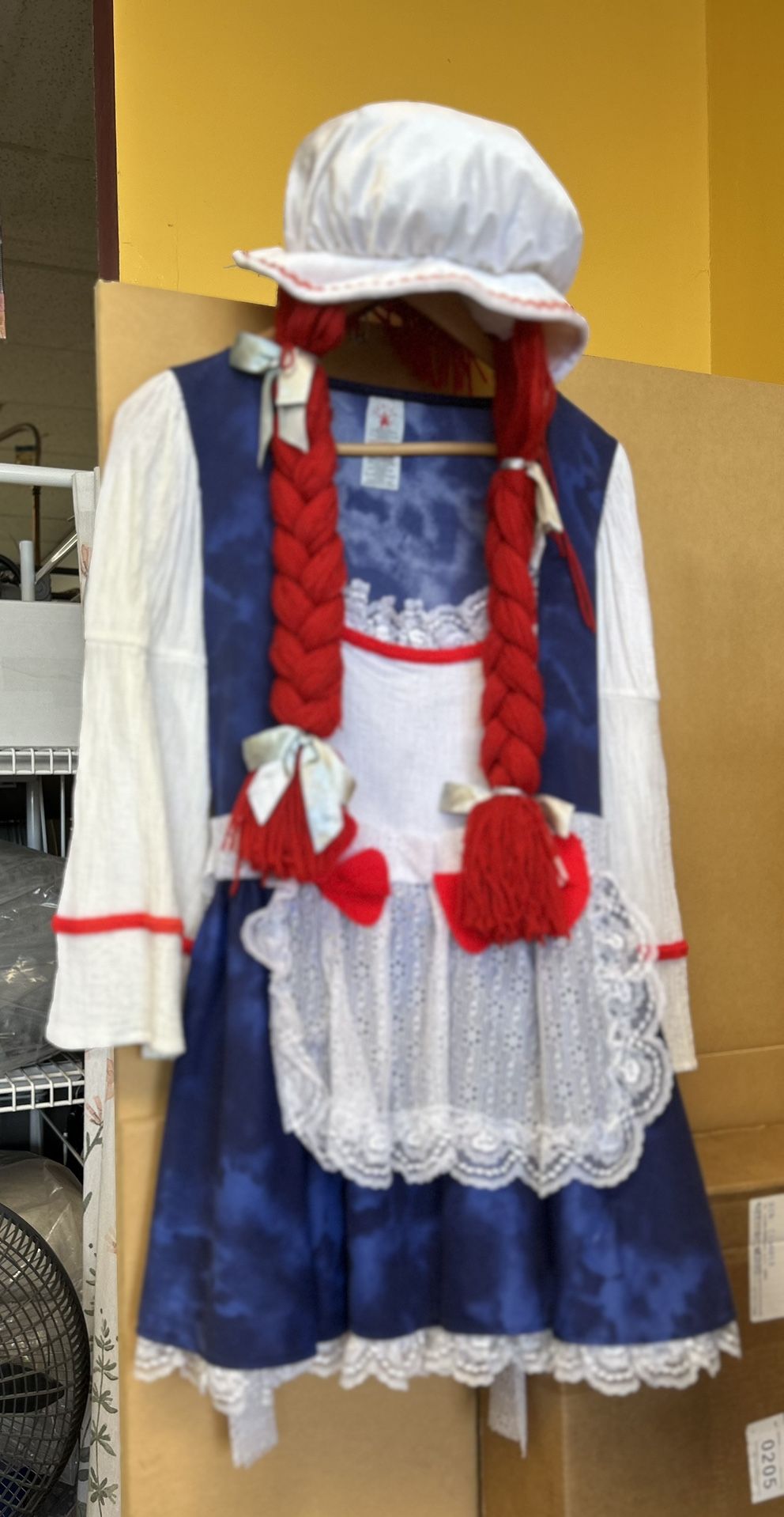 Raggedy Ann Adult Costume
