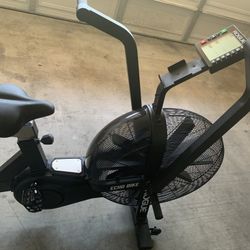 Rogue Echo Bike 