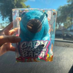 Capybara squishy