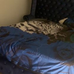 Blue Bed Room Set