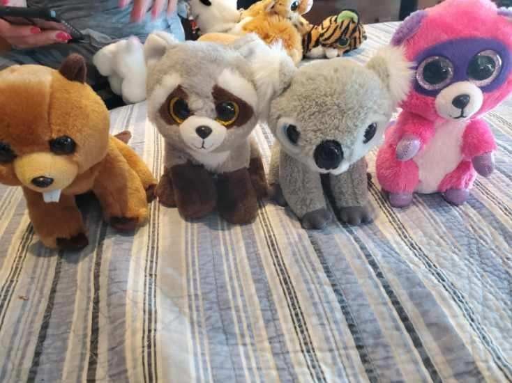TY Beanie Baby Boo Raccoon, Beaver and a Koala Lot
