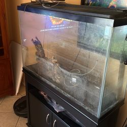 Fish Tank 