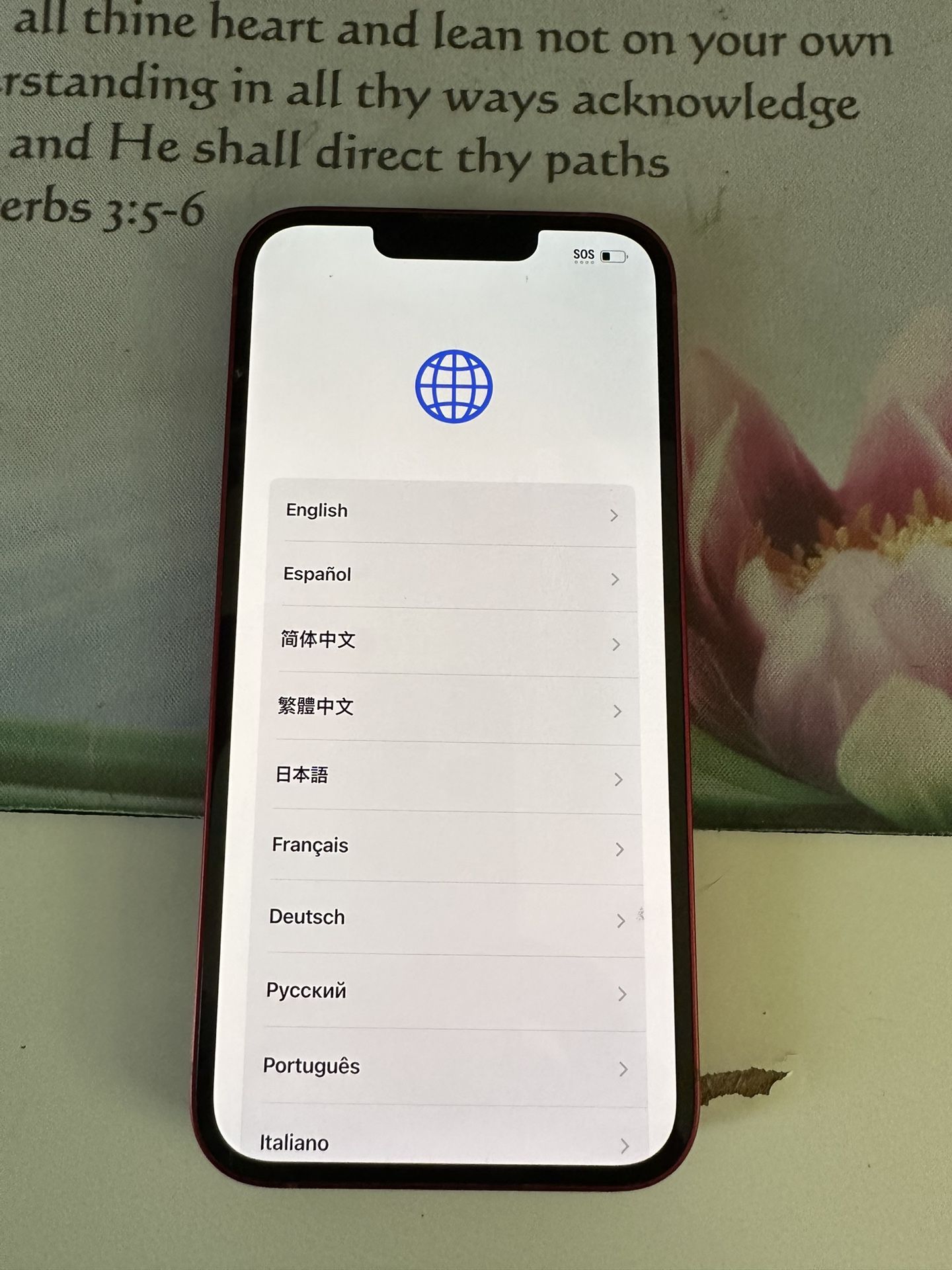 Apple Iphone 13
