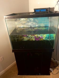 40 Gallon Fish Tank With Stand