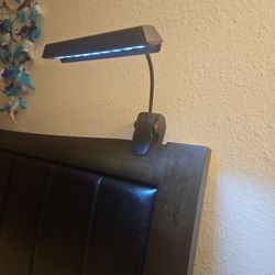 Clip On Battery Operated Reading Light. 