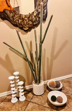 62in Realistic Tall Faux Cactus Plant & home decor- all for $150