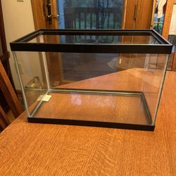5 Gallon Fish Tank