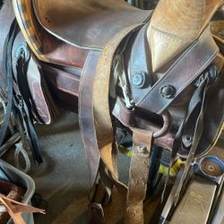 Horse Saddle